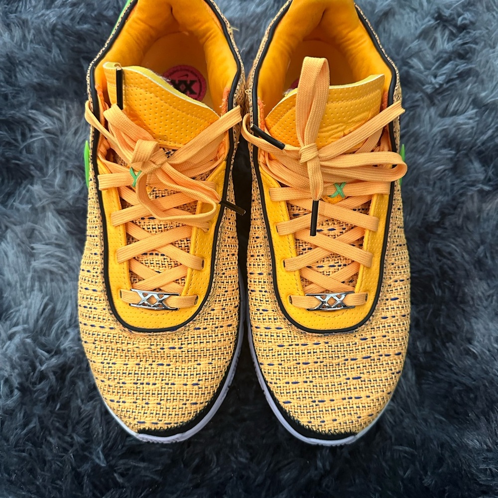 Lebron XX